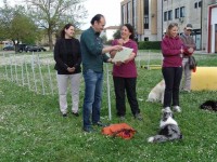 CANE DEL LUPO 1